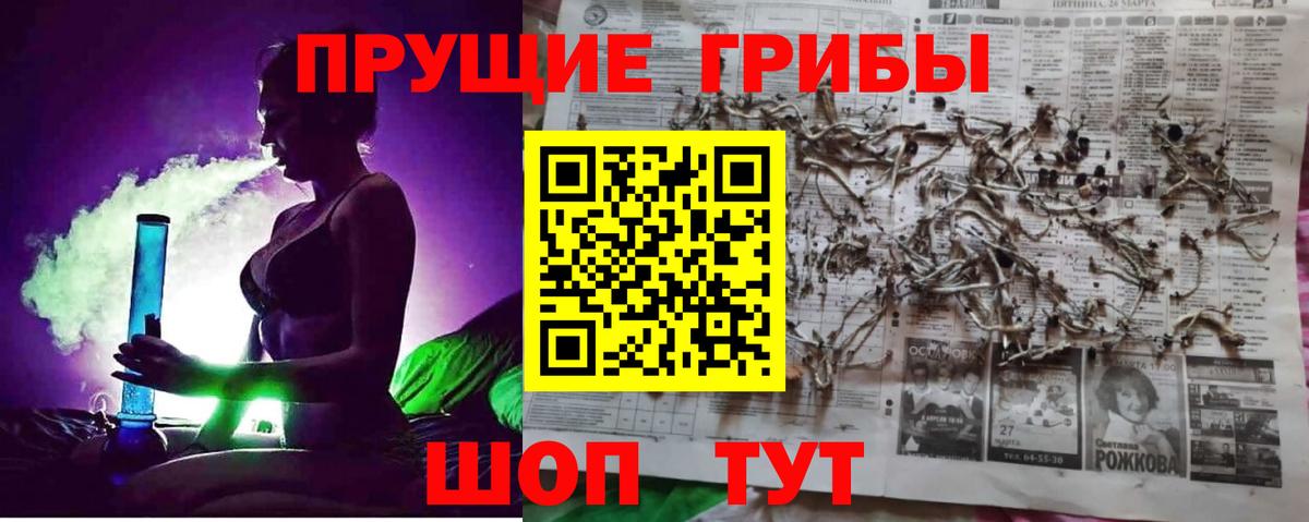 Алатырь  Псилоцибиновые грибы мухоморы  где купить   Вход с VPN 